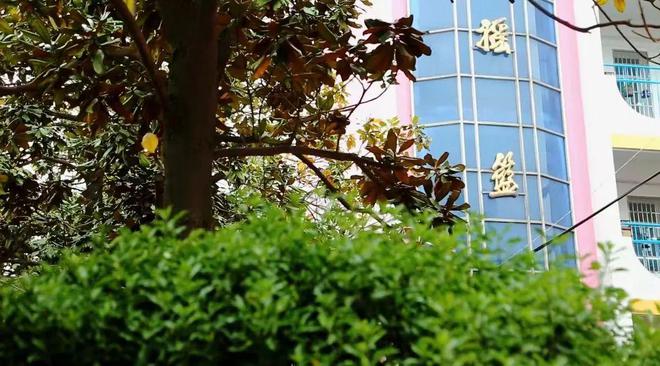 kaiyun官网固始一小荣获河南省第三批“中小学多文本阅读教学实践研究实验学校”荣誉称号(图7)