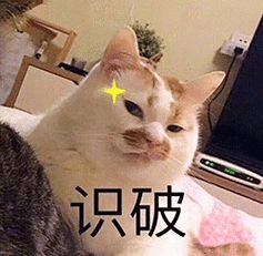 kaiyun中国官方网站超超超大碗20元档鲜肉「冻干烘焙粮」打工人的新福音？(图1)