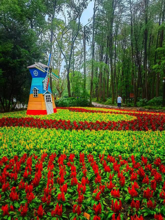 音乐、运动、美食……相约都市森林狂欢节！(图5)