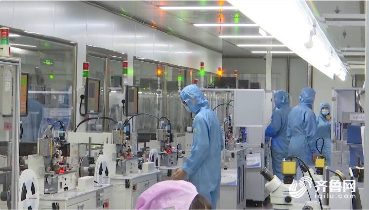潍坊市坊子区：搭建平台“优服务” 助力企业进军海外市场(图2)