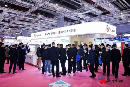 燃！安琪高能BUFF叠满FIC(图2)