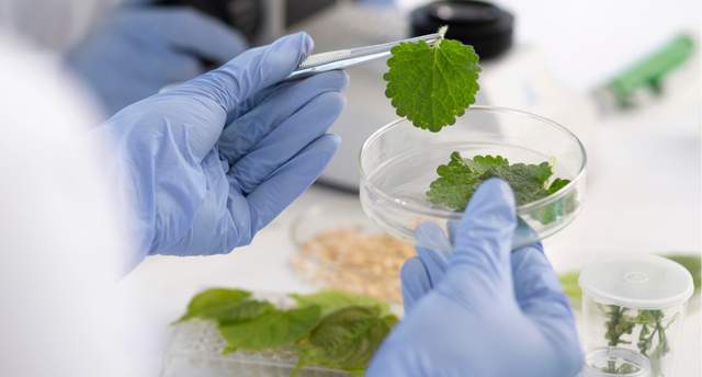 明治、麒麟控股等企业确认分享！ FBIF2025功能性配料创新论坛(图13)