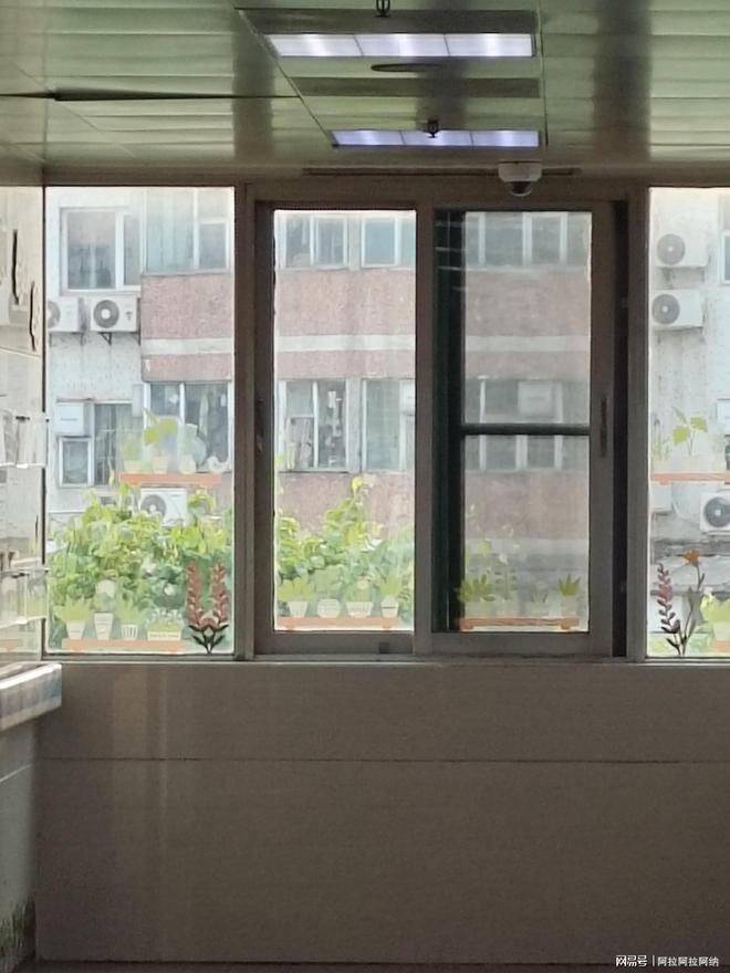 我的“失败”烘焙史(图1)