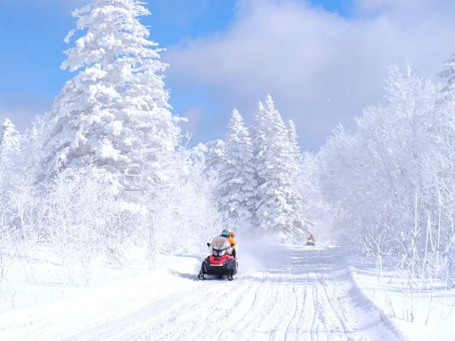 东北五日游最佳路线：冰雪童线晚保姆级路线！(图2)