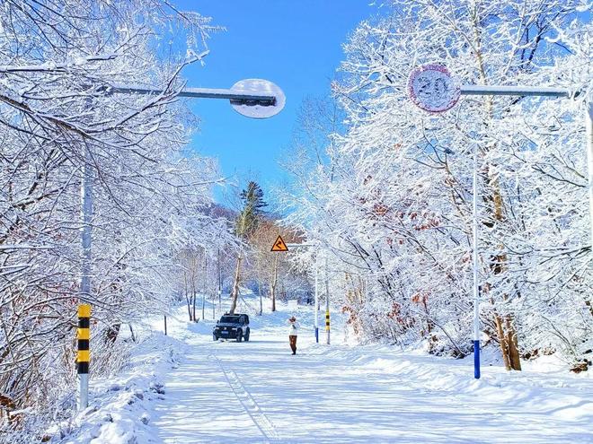 东北五日游最佳路线：冰雪童线晚保姆级路线！(图3)