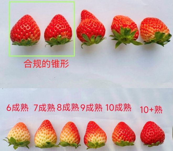 数百万消费者热议！京东七鲜烘焙背后的成功秘诀(图5)