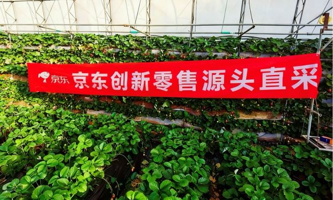 数百万消费者热议！京东七鲜烘焙背后的成功秘诀(图4)