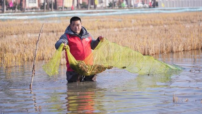 不止是夏夜美食潜江告诉你：冬季也能吃上鲜美的小龙虾(图3)